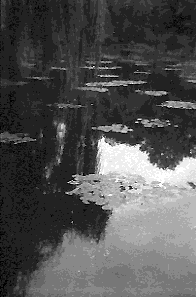 GIVERNY.gif