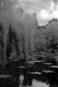 GIVERNY.gif