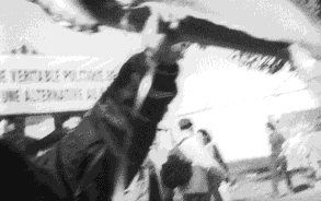 Human.gif